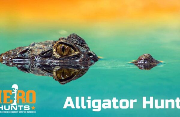  Alligator Hunt