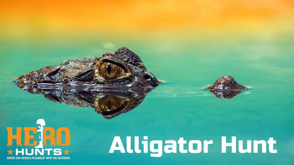 Hero Hunts Alligator Hunt