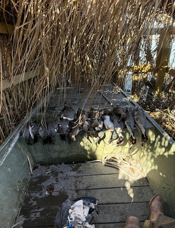 6-Grand Chenier Duck Hunt - Hero Hunts.