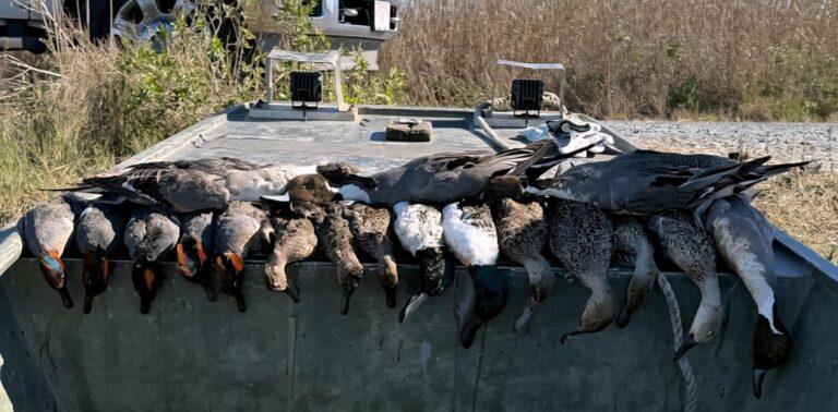 7-Grand Chenier Duck Hunt - Hero Hunts.