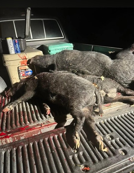 2026-02-26_03-01 7th Annual Hero Hunts Troops and Tusks 2