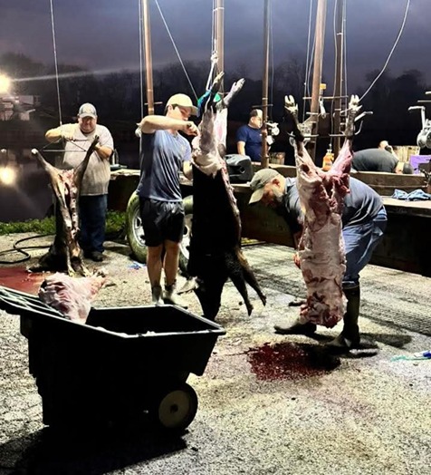 2026-02-26_03-01 7th Annual Hero Hunts Troops and Tusks 1