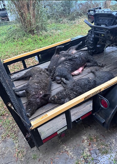 2026-02-26_03-01 7th Annual Hero Hunts Troops and Tusks 9