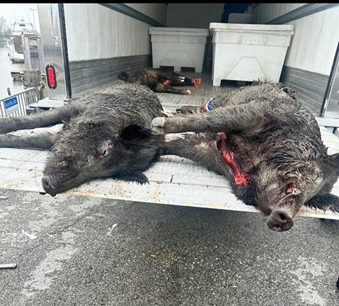 2026-02-26_03-01 7th Annual Hero Hunts Troops and Tusks 8