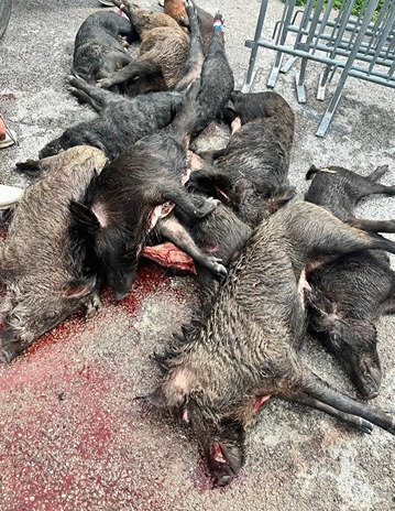 2026-02-26_03-01 7th Annual Hero Hunts Troops and Tusks 7