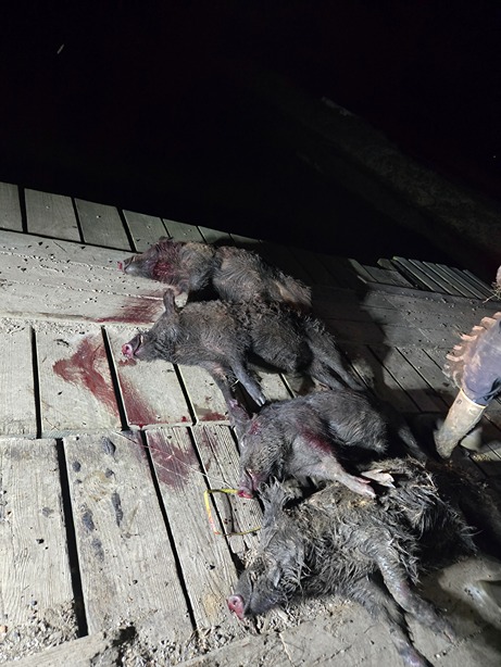 2026-02-26_03-01 7th Annual Hero Hunts Troops and Tusks 6