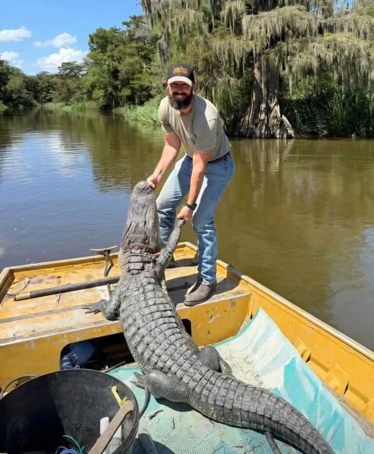 2026-09-20-Hero-Hunts-Alligator-Hunt-1