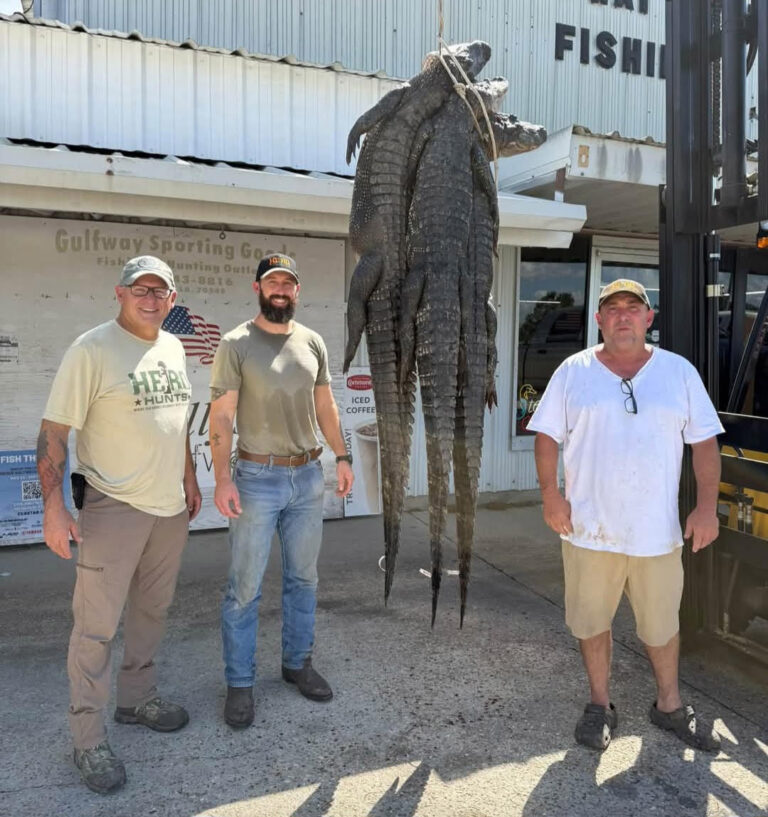 2026-09-20-Hero-Hunts-Alligator-Hunt-2