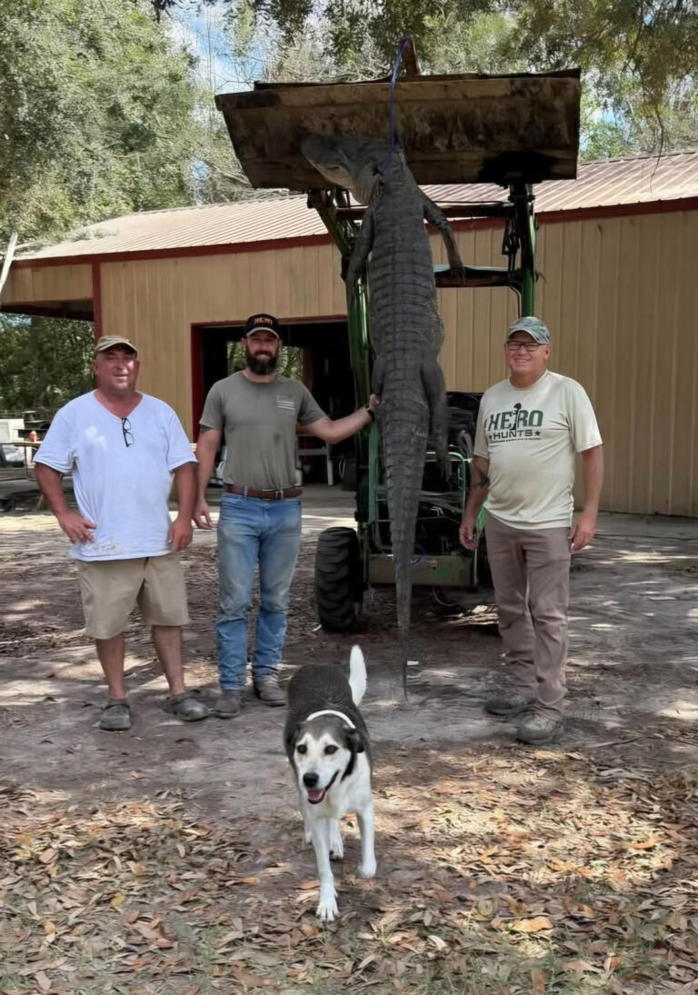 2026-09-20-Hero-Hunts-Alligator-Hunt-3